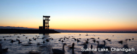 Sukhna Lake